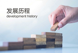 發展歷程